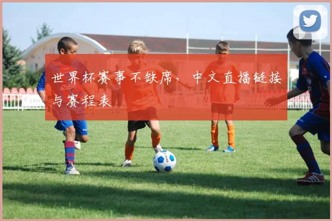 世界杯赛事不缺席，中文直播链接与赛程表